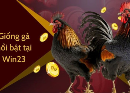 Đá gà Win23 – Thế giới giải trí đầy kịch tính và hấp dẫn